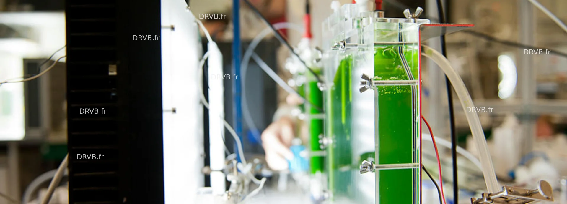 L'expert en recherche mondiale sur les microalgues AlgoSolis valorise ...