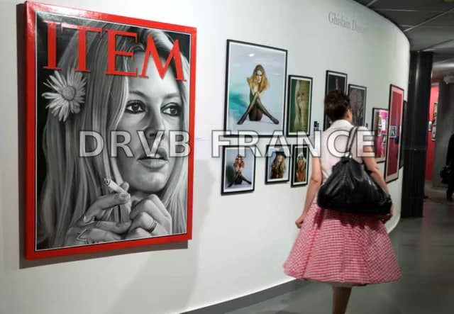 Brigitte Bardot : de sex-symbol à icône controversée de l'extrême droite – Réactions de la presse internationale