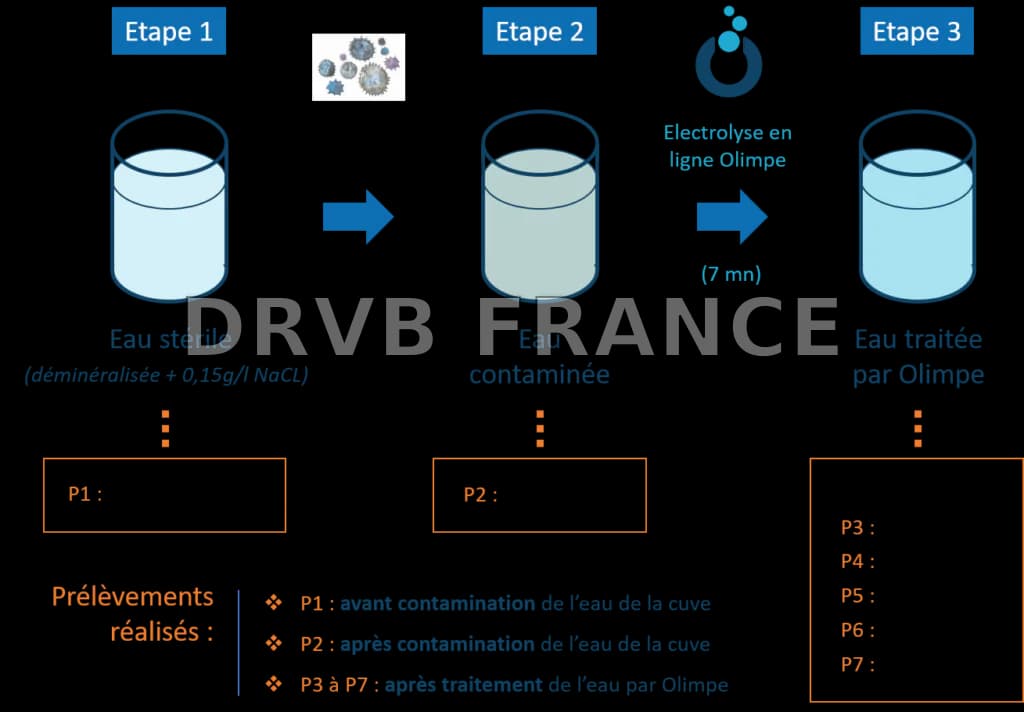 Olimpe Technology lève 1 million d'euros pour révolutionner la désinfection de l'eau dans les hôtels