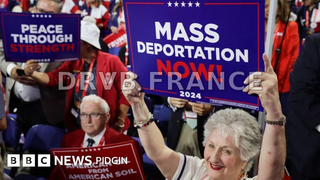 Trump deportation plan: US president-elect fit deport millions of ...