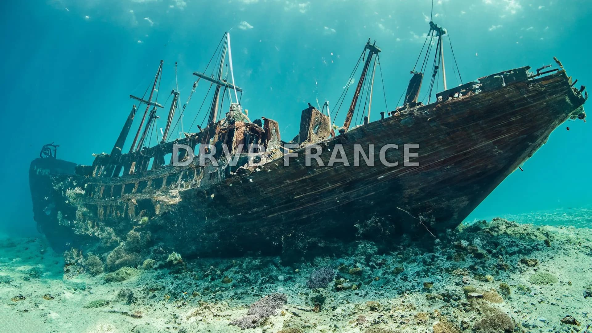 Une épave navale réapparaît après 400 ans sous les eaux