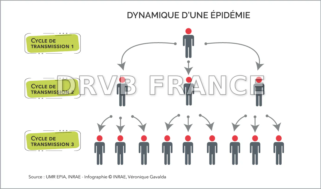 Une épidémie de salmonelle résolue grâce à l'intelligence artificielle