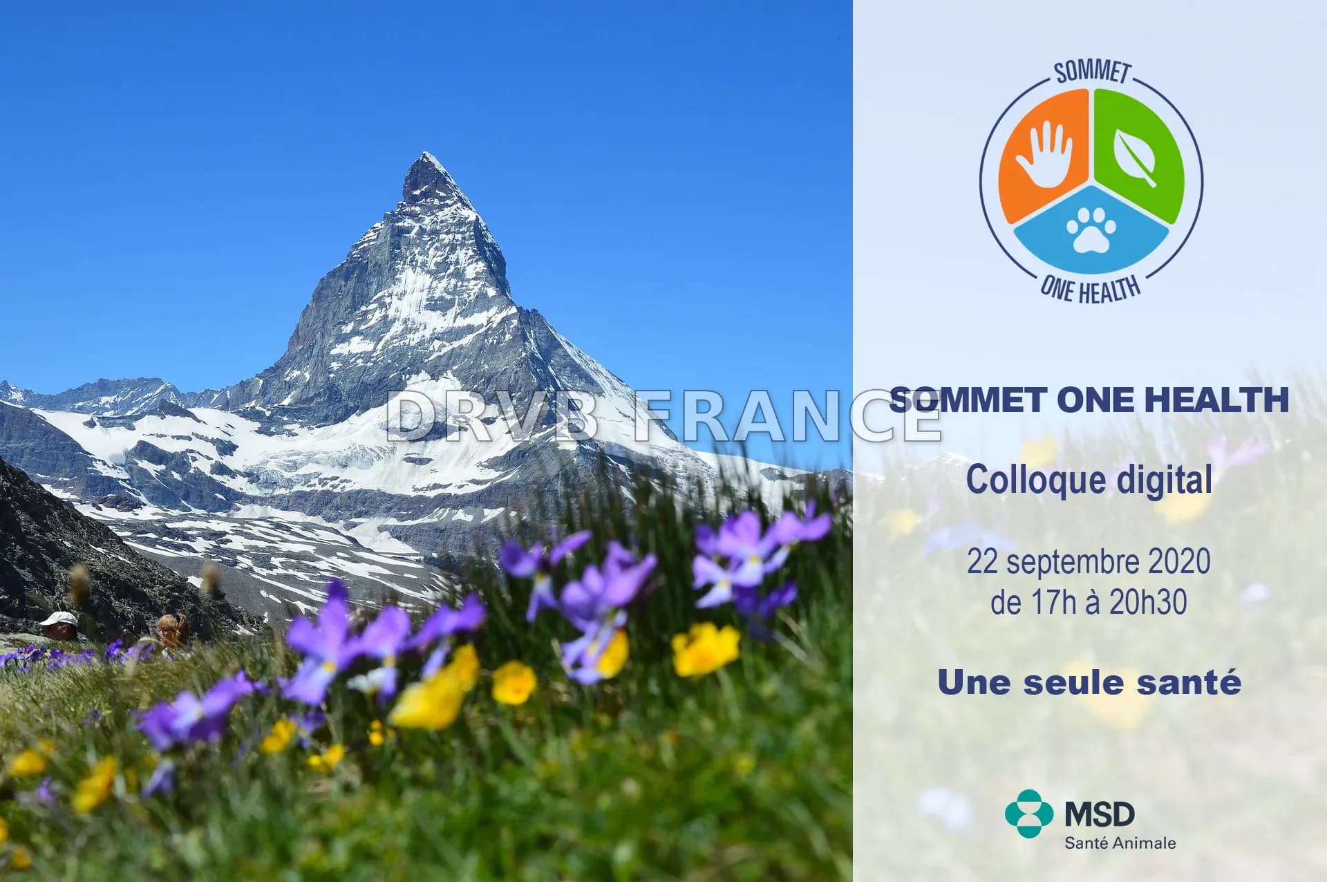 Lyon : Accueil du Sommet International One Health sur la Santé Globale