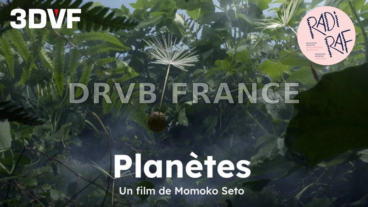 « La science a besoin d'émotion » : Momoko Seto présente son fascinant projet « Planètes »