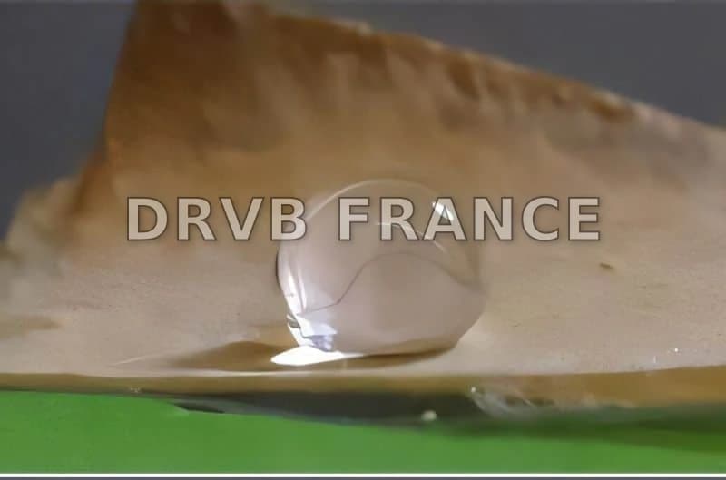 Biodegradable Plant-Based Packaging Breakthrough