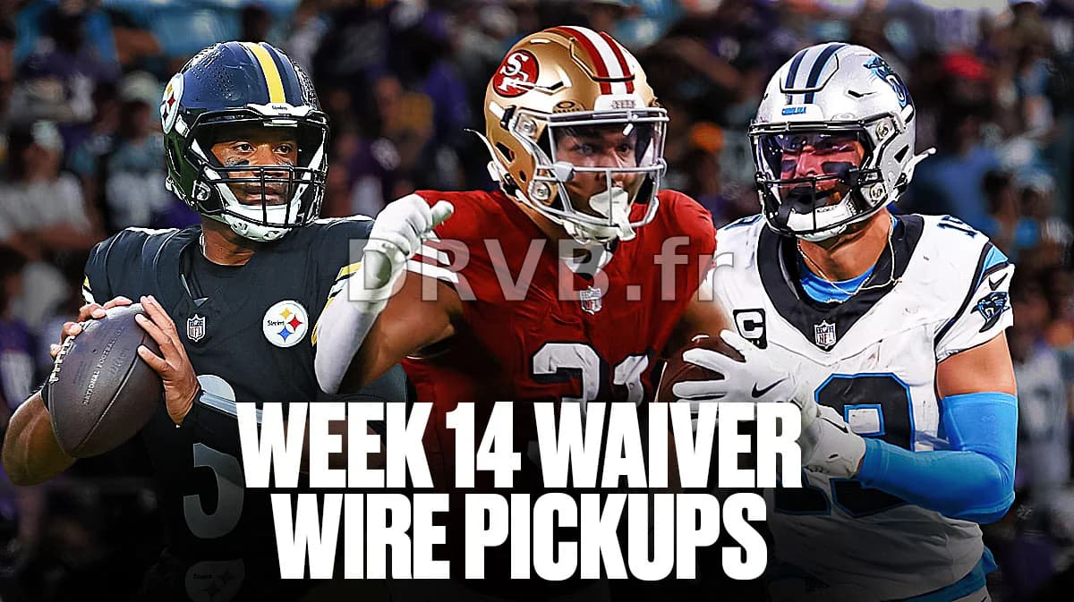 Fantasy Football: Top 10 waiver wire pickups for Week 14 (2024)