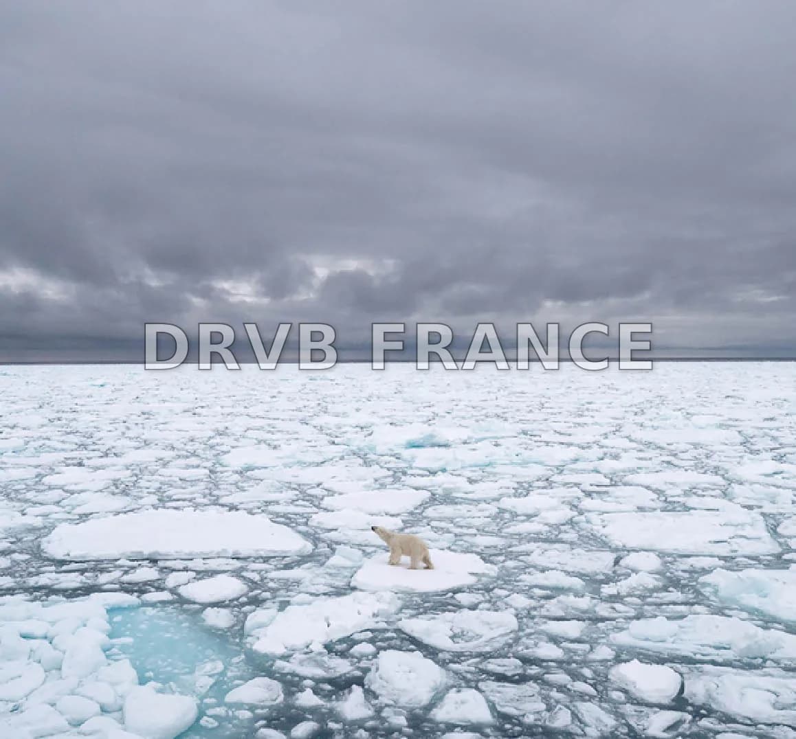 Playbac Presse Digital: journaux jeunesse Le Petit Quotidien, Mon ...